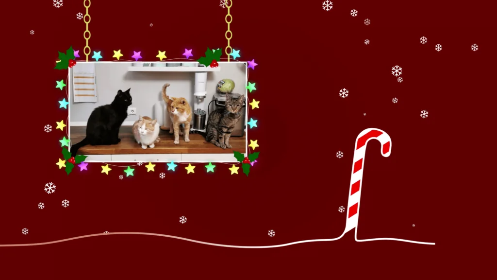 Christmas After Effects Template DMvisualz 6