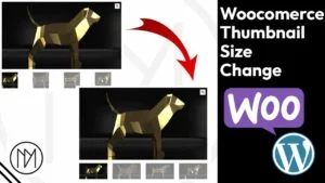 Read more about the article How to Change Woocommerce Product Thumbnail Size?