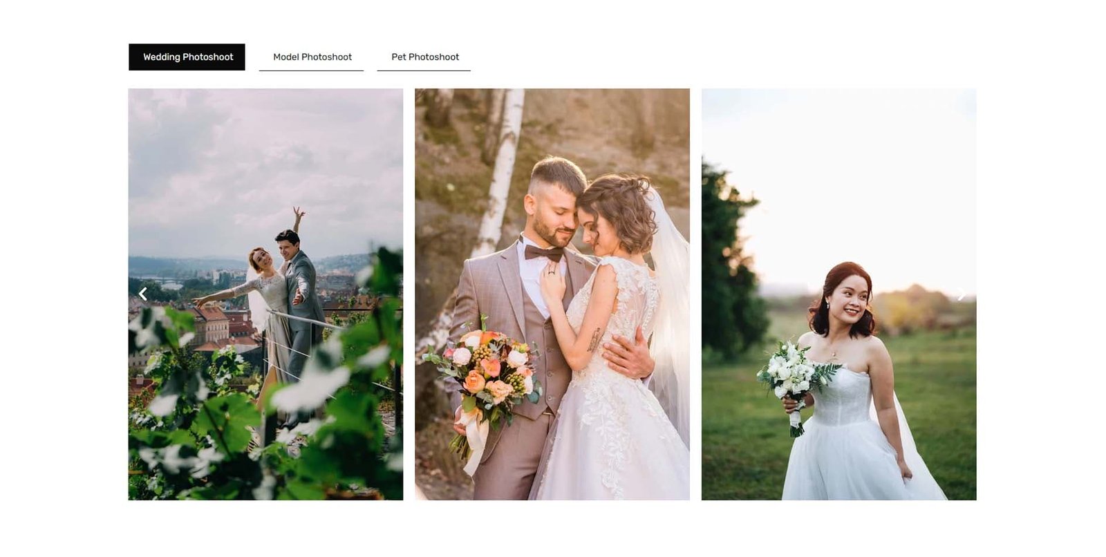 DMmotionarts Elementor Photography Website Template Free 2
